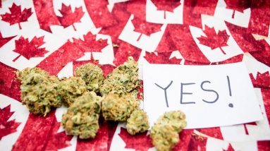 What are the rules for buying a cannabis store in Canada