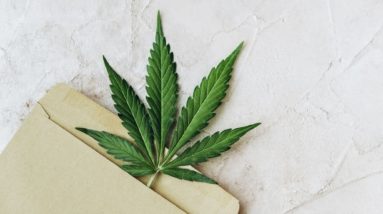 How Can You Discover The Fastest Cannabis Delivery In Richmond