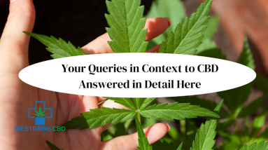 Your Queries in Context to CBD-Answered in Detail