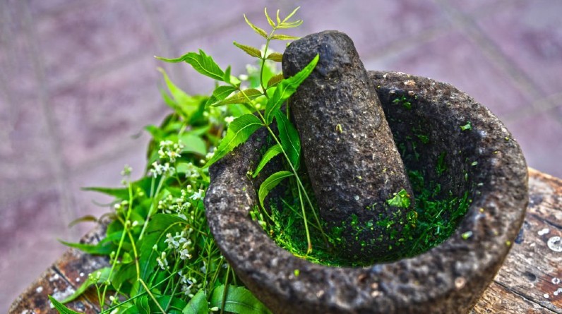 5 Best Herbs for Relaxation and Euphoria