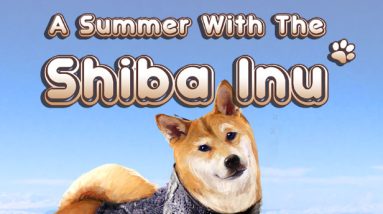 shiba doggy dao shibaswap boneashrafcoindesk