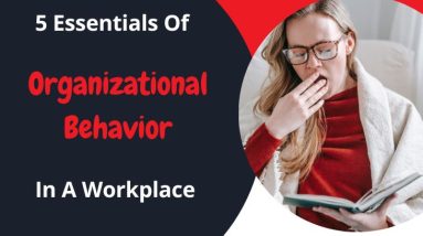 5 Essentials of Organizational Behavior In A Workplace