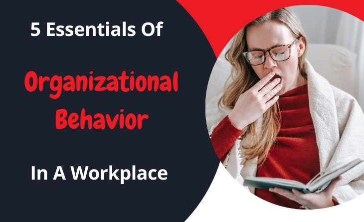 5 Essentials of Organizational Behavior In A Workplace