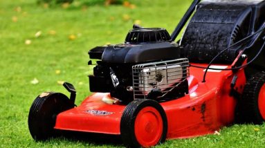 Types of Lawn Mowers What You Need to Know