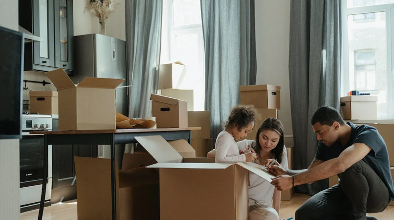 What are the types of professional moving companies