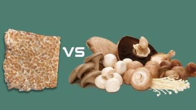 mycelium vs fruiting body