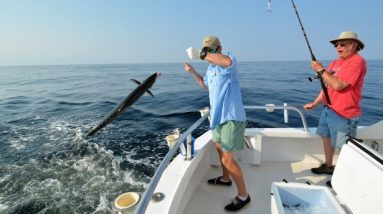 The Benefits of Hiring a Private Fishing Charter