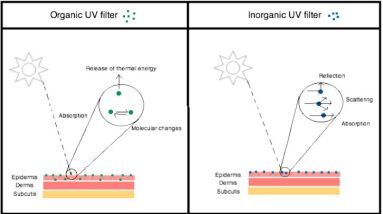 Nanoparticles in sunscreens