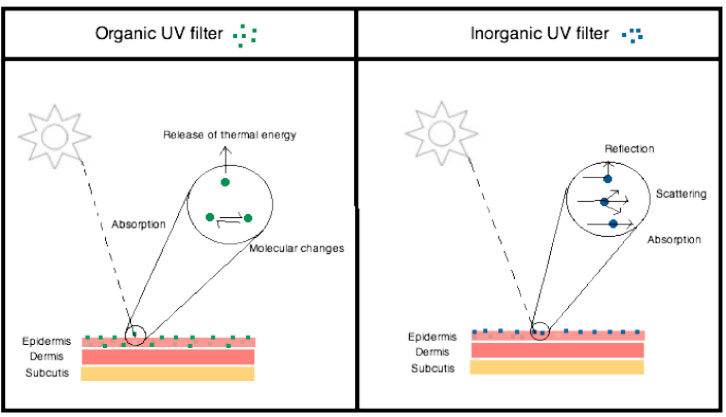 Nanoparticles in sunscreens