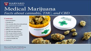 Healing Properties of Medical Marijuana