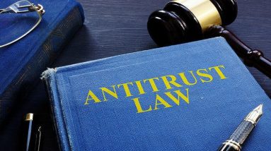 antitrust litigation lawyer