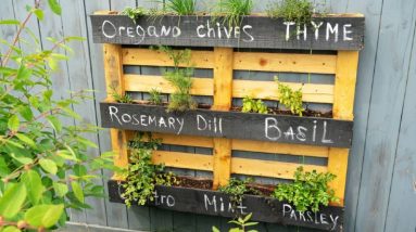 10 Great Uses For Pallets In The Garden